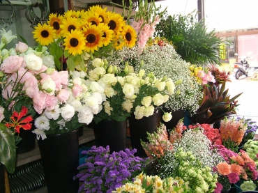 「花のいしざか」　（熊本県阿蘇郡高森町）の花屋店舗写真3