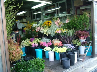 「花のいしざか」　（熊本県阿蘇郡高森町）の花屋店舗写真4